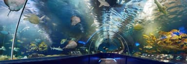 しながわ水族館館内写真3