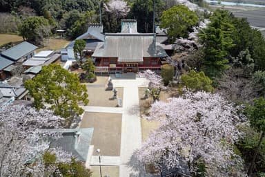境内全景