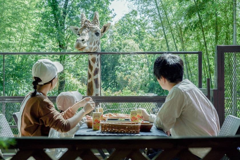 ［千葉県］動物園×グランピングの「THE BAMBOO FOREST」で
「キリンと朝食」オプションを再開！