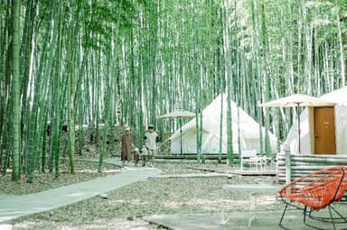 静かな竹林の中は、動物の鳴き声や鳥のさえずりが聴こえてくる幻想的な空間