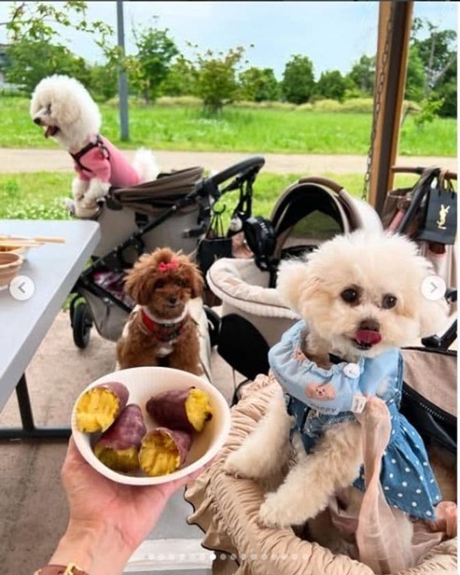 大阪の手ぶらBBQ「GoodBBQ」で
第一期アンバサダー19名が就任決定　
～子連れ客も犬連れ客も楽しめる夏の公園バーベキュー！
5つの改善を実施～
