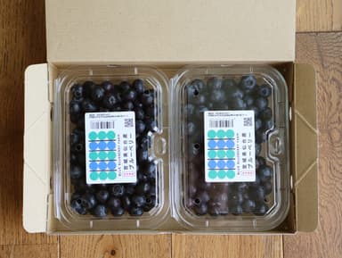 240g2個パック