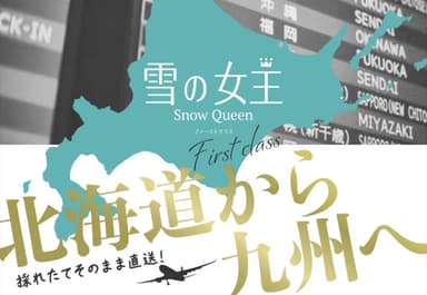 雪の女王店頭販促ポップ
