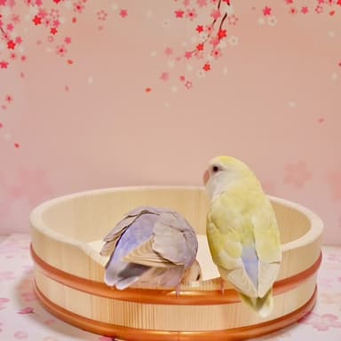 使用イメージ1