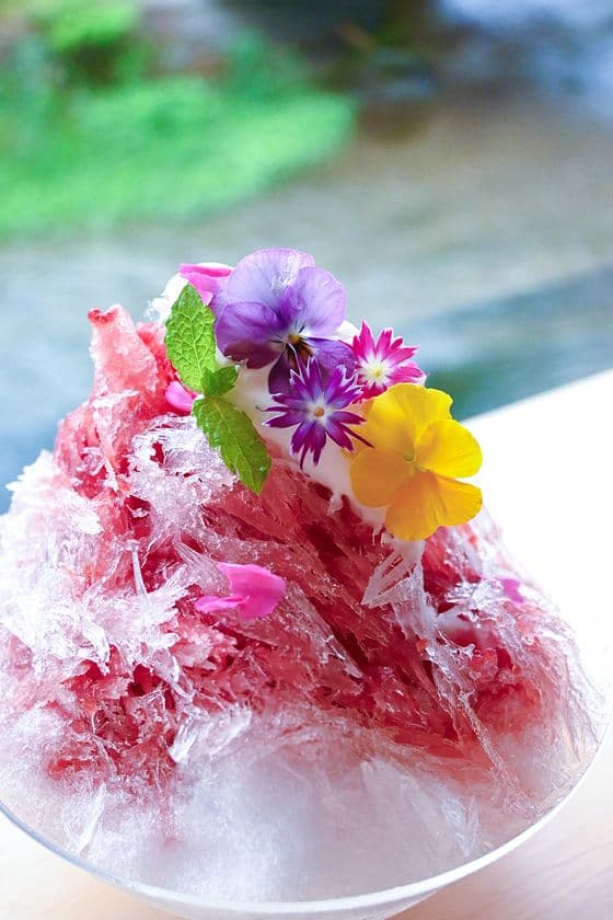夏のご褒美スイーツ！スフレチーズケーキ専門店「花」、
国産すももを使った夏季限定メニューを7月14日より販売開始