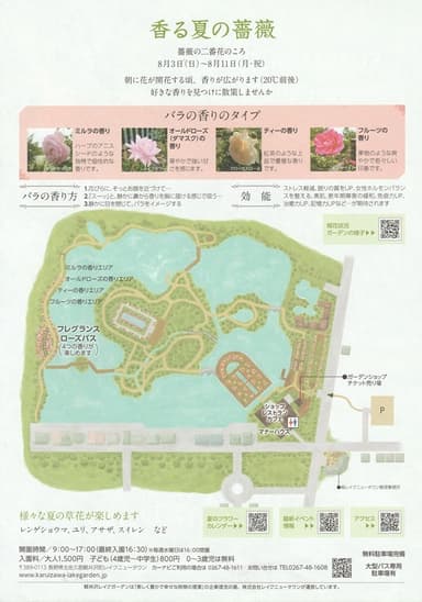 サマーシーズン2025 香る夏の薔薇
