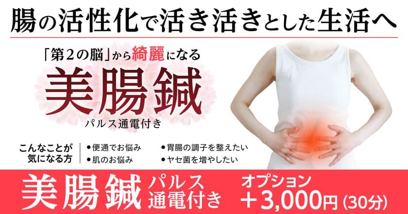 相模原市・多摩市の鍼灸院「はり灸マッサージ　みなぎる美体」にて
8月18日(月)より腸を整えるパルス付き美腸鍼を開始