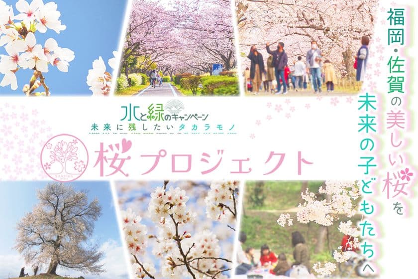 福岡・佐賀の桜の保全活動「桜プロジェクト」を開始　
「KBC水と緑の基金」として9月25日まで
CAMPFIREでクラファン募集