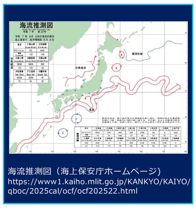 【解説】