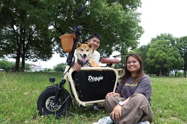 doggie-3