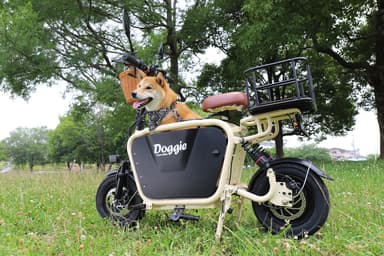 doggie-4