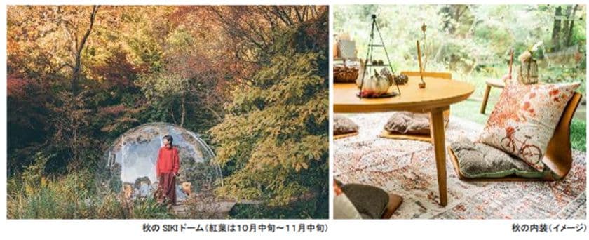 ROKKO森の音ミュージアム
「SIKIドーム 秋の彩りカナッペプラン」
秋にぴったりのメニュー、内装が期間限定で登場
2025年9月13日（土）～11月30日（日）