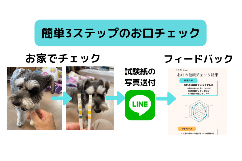横浜市・テック系スタートアップ実証実験等支援助成に採択！
Ani-lience(R)お口の健康チェックキットの実用化を加速