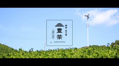 実績_4