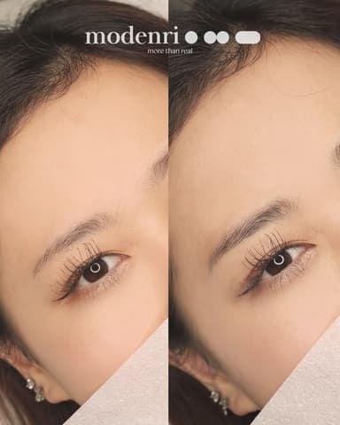 眉毛(3D)
