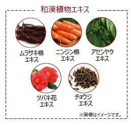 和漢植物エキス
