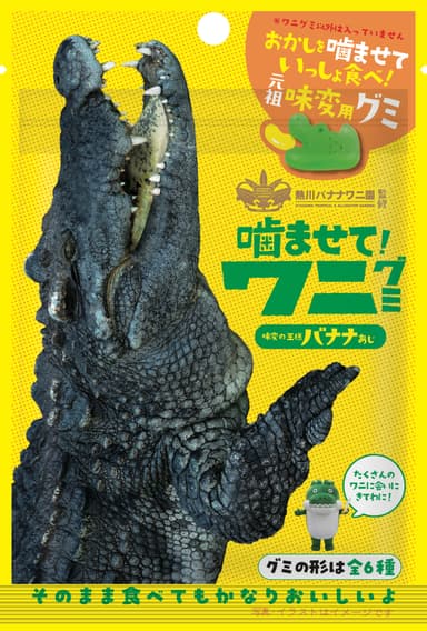 パッケージ3