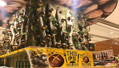 伊豆のへそ店
