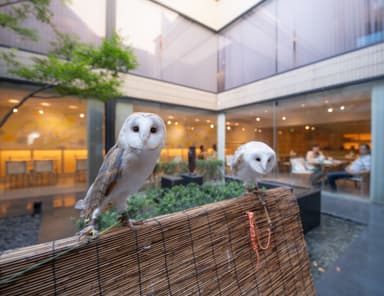 ふくろうとダイニングカフェ・チグサ全景
