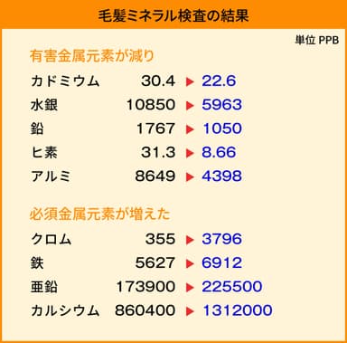 毛髪ミネラル検査の結果