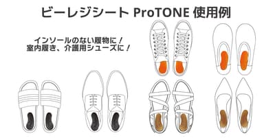 ビーレジシートProTONE使用例