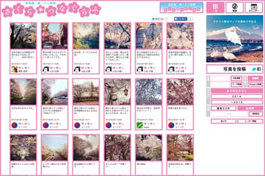 一覧画面例