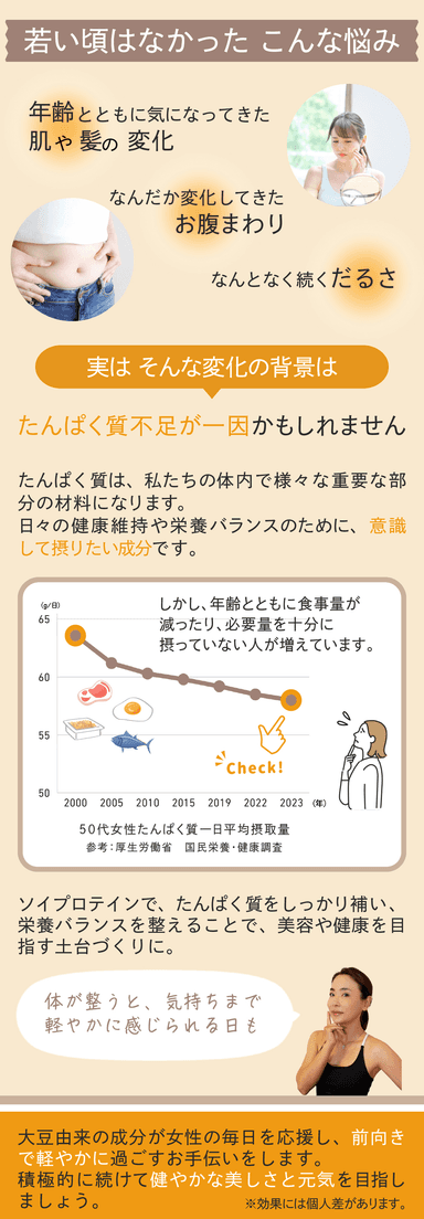 商品概要2