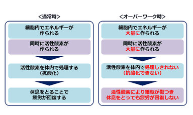 疲労とは