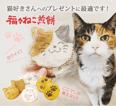 猫せんべいイメージ