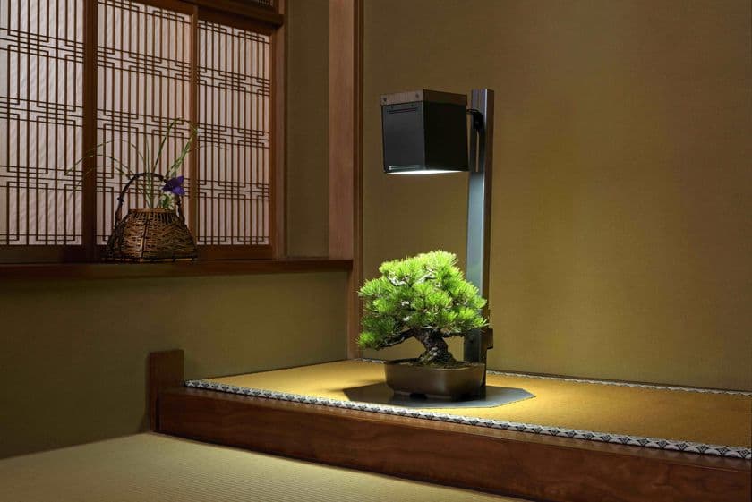 室内で盆栽を楽しむ新時代へ　
特許取得の『サイリウムスタンドライト』新発売