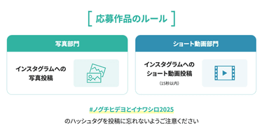 応募ルール