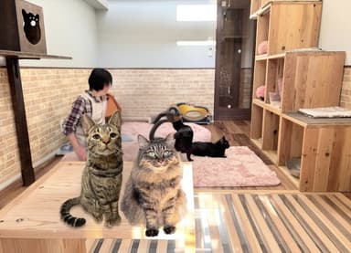 店内の様子