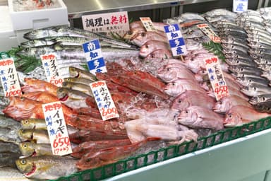 セリ権を持つ魚屋だから圧倒的鮮度