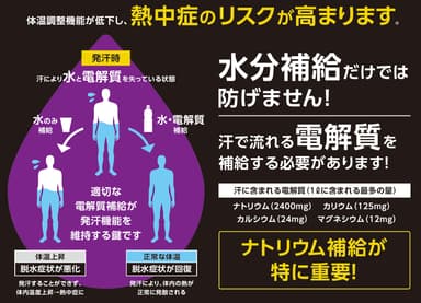 ナトリウム補給が特に重要！