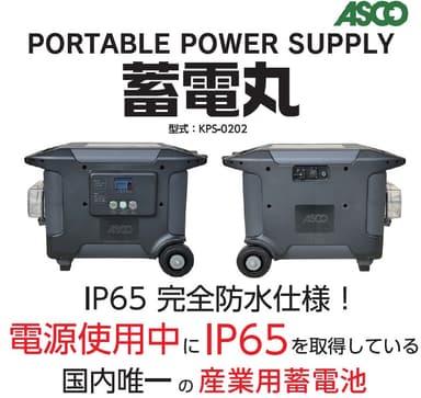 蓄電丸　本体