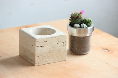 二重構造でポットが透明なため土や根が見える