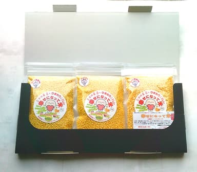 3個セットの場合1