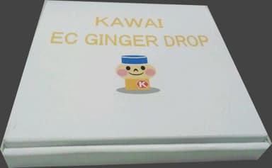 カワイECジンジャードロップ(外観)