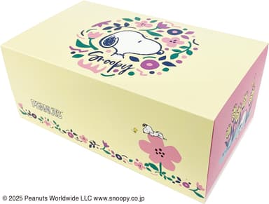パッケージ(1)