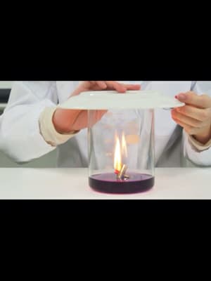 動画閲覧