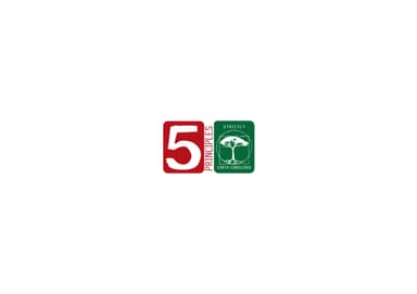 5原則
