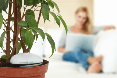 Plant Sensor 2 Indoor イメージ