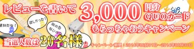 『レビューを書いて3,000円分QUOカードもらっちゃおうキャンペーン』