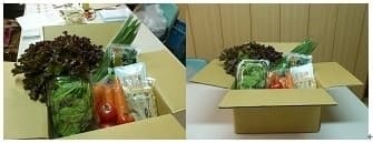 筋肉がつきにくい遺伝子タイプ(β2AR)向けセット