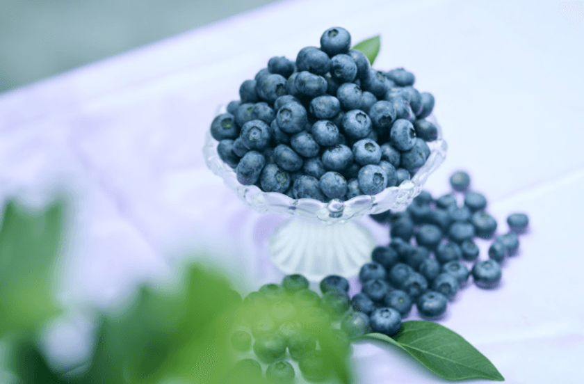 BLUE ANGEL～Nasu Highland Blueberry Park～　
冷凍にも、自信あり。最新鋭「プロトン凍結機」を導入　
収穫したてのフレッシュさと栄養をそのまま閉じ込めた
冷凍ブルーベリーを全国へ