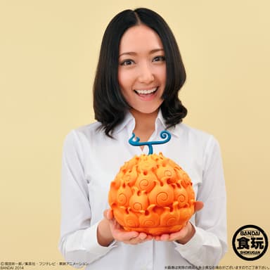 The Devil Fruit メラメラの実(3)