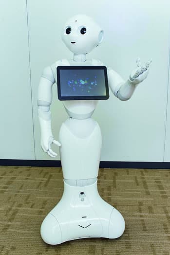 Pepper