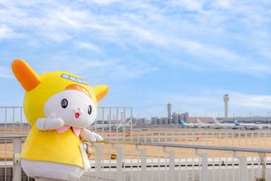 大田観光協会