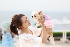 看板犬チャコ2