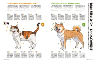 犬と猫のカラダの仕組みをわかりやすく解説